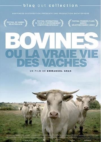 Bovines ou la vraie vie des vaches