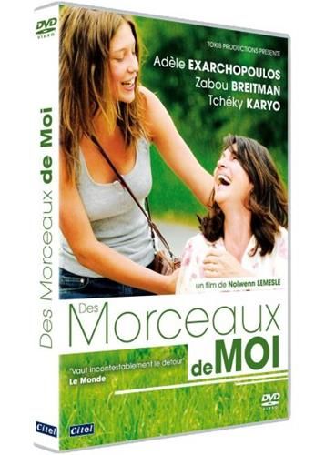 Des morceaux de moi