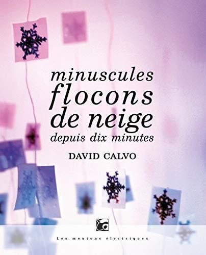 Minuscules flocons de neige depuis dix minutes