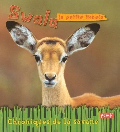 Swala, la petite impala